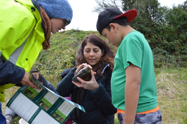 Dr Joanne Clapcott from the Cawthron Institute identifying stream inhabitants with wananga participants from Makarika and Hiruharama.